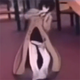 Blurry Person In Trench Coat Standing On Table GIF