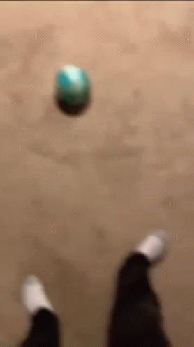 A Blurry Picture Of A Person Playing With A Ball On The Floor . GIF
