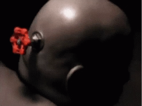 A Blurry Picture Of A Person 'S Face With A Red Flower In The Background GIF