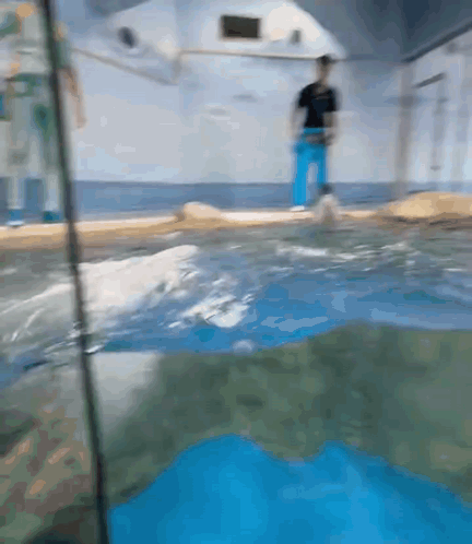A Blurry Picture Of A Person Standing In A Pool GIF