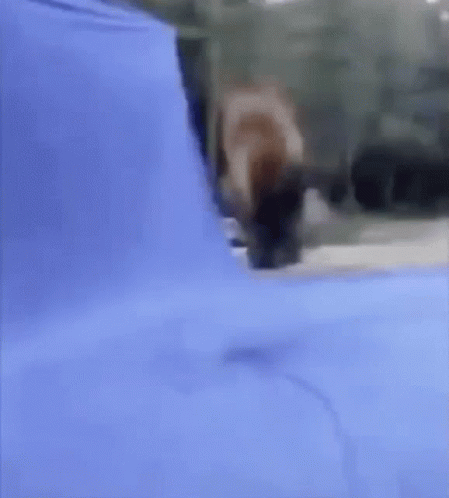 A Blurry Picture Of A Person Standing In Front Of A Blue Wall . GIF