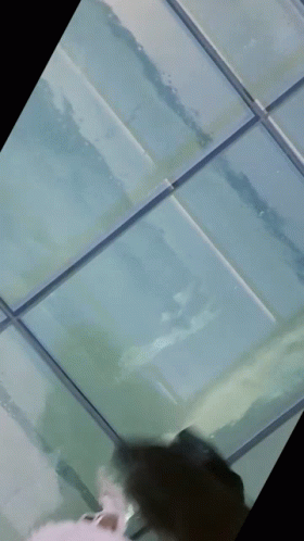 A Blurry Picture Of A Person Standing On A Glass Ceiling GIF