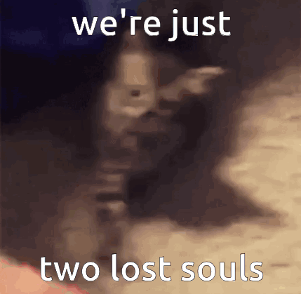 A Blurry Picture Of A Person With The Words " We 'Re Just Two Lost Souls " GIF