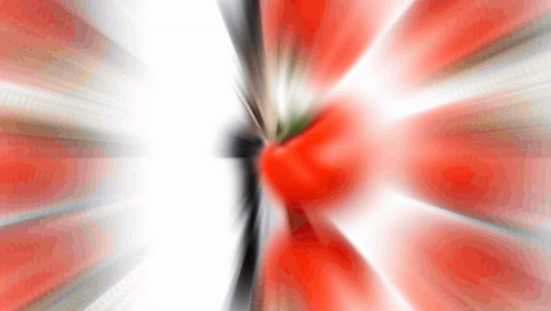 A Blurry Picture Of A Red And White Flower With A White Background GIF