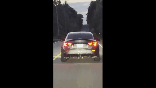 A Bmw Is Driving Down A Road With Trees On Both Sides GIF