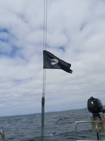 A Boat With A Suzuki Outboard Motor Is In The Ocean GIF