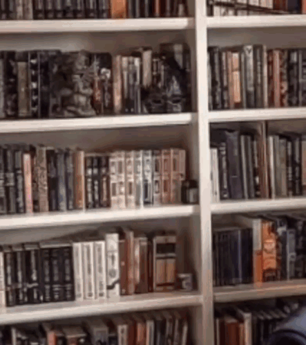 A Bookshelf Filled With Lots Of Books Including One That Says ' I 'M Not A Fan ' GIF