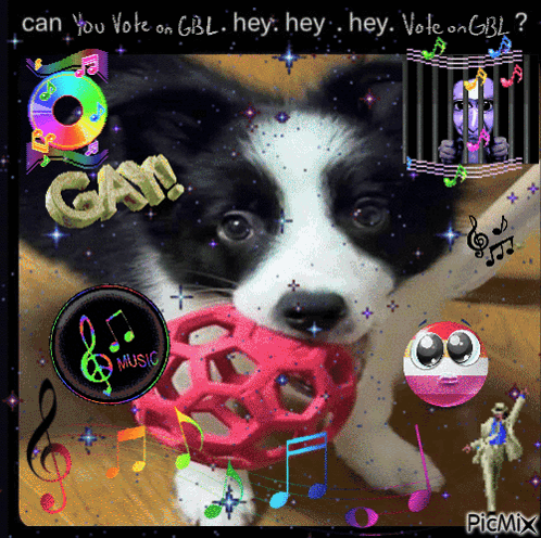 A Border Collie Puppy Is Playing With A Pink Ball And The Words Can You Vote On Gbl Hey Hey Hey Hey Vote On Gbl GIF