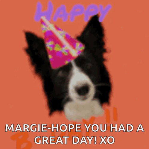 A Border Collie Wearing A Party Hat With The Words Happy B-Day GIF