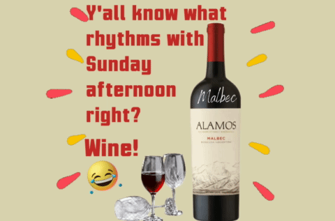 A Bottle Of Alamos Malbec Sits Next To Two Glasses Of Wine GIF