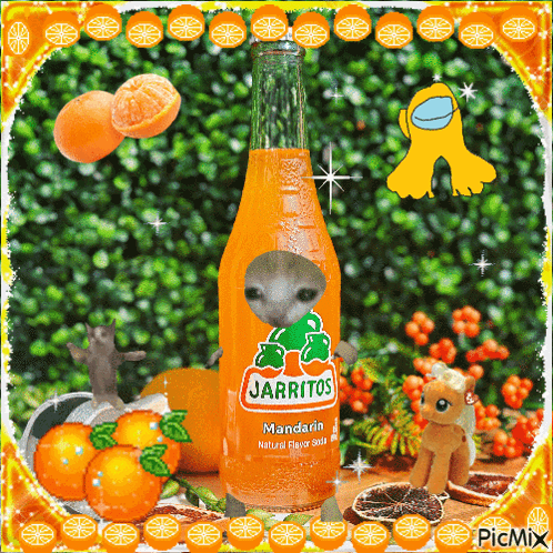 A Bottle Of Jarritos Mandarin Natural Flavor Soda Surrounded By Oranges GIF