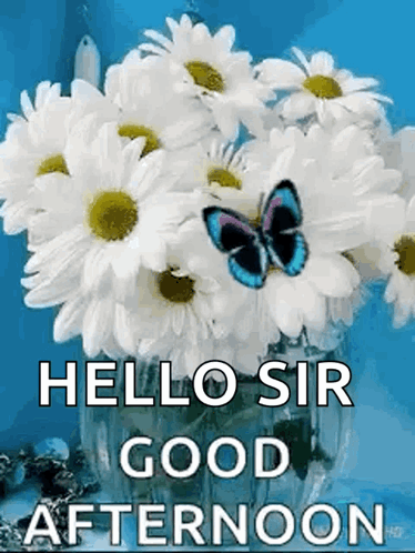 A Bouquet Of Daisies In A Vase With A Butterfly On It . GIF