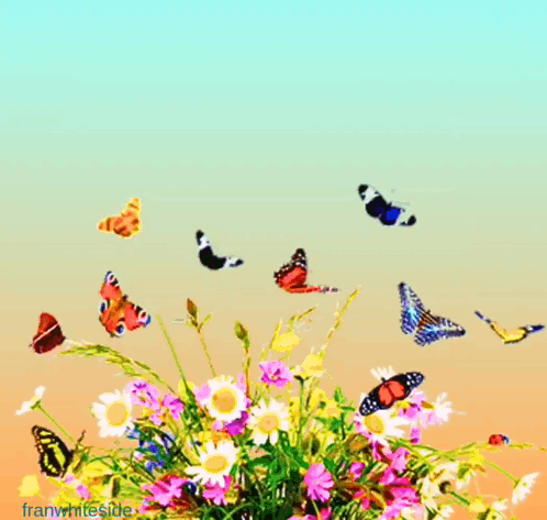 Flowers And Butterflies Saying Good Morning Today Will Be Amazing GIF