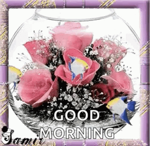 A Bouquet Of Pink Roses And Fish In A Glass Bowl With The Words `` Good Morning '' . GIF