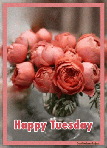 A Bouquet Of Pink Roses In A Vase With The Words Happy Tuesday GIF