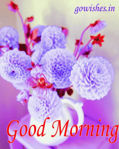 A Bouquet Of Purple Flowers In A White Vase With The Words Good Morning GIF