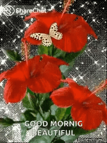 A Bouquet Of Red Flowers With A Butterfly On Top Of Them And The Words `` Good Morning Beautiful '' . GIF