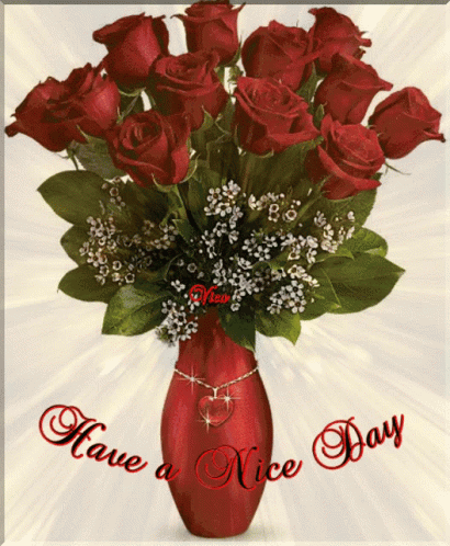 A Bouquet Of Red Roses In A Red Vase With The Words Have A Nice Day Above It GIF