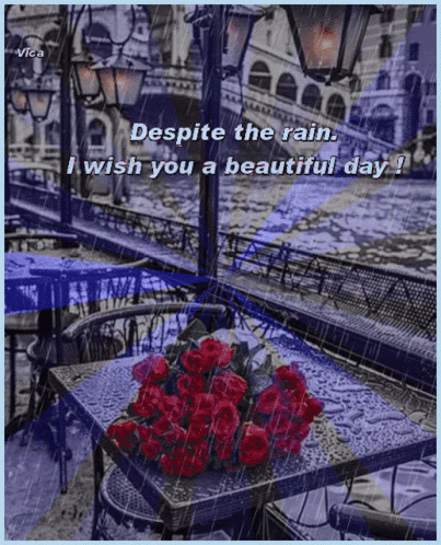 A Bouquet Of Red Roses Sits On A Table In The Rain With The Words " Despite The Rain I Wish You A Beautiful Day " GIF