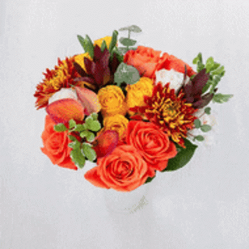 A Bouquet Of Red , White And Purple Flowers On A White Surface . GIF