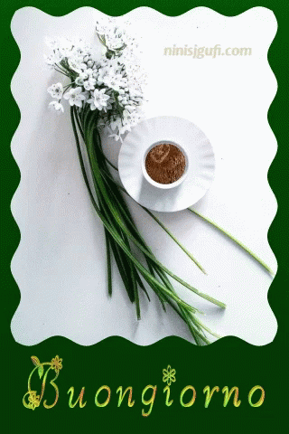 A Bouquet Of White Flowers And A Cup Of Coffee On A Saucer With The Words Buongiorno Below It GIF