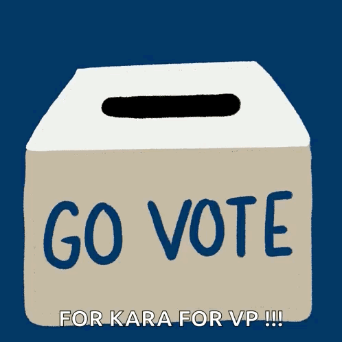 A Box That Says Go Vote On It GIF