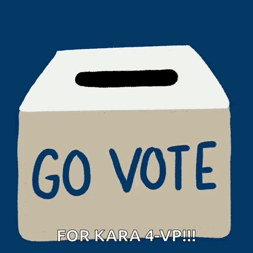 A Box With The Words Go Vote For Kara 4-Vp Written On It GIF