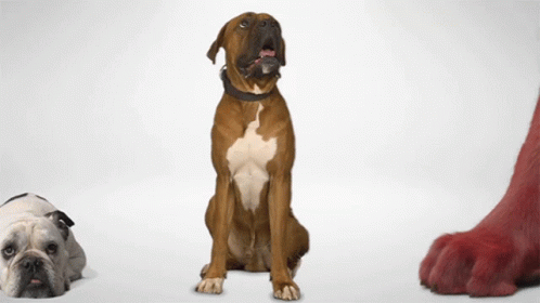 A Boxer Dog Sits Next To A Bulldog And A Large Red Paw GIF
