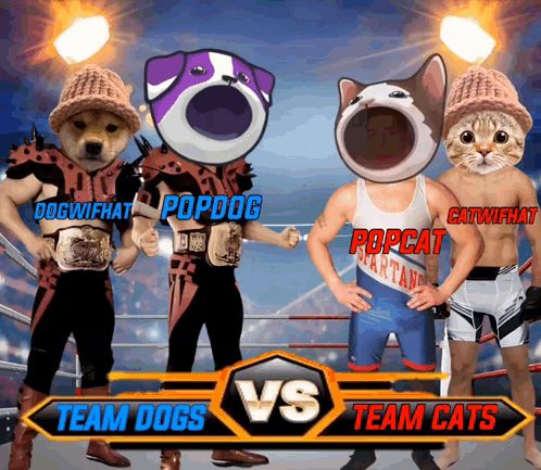A Boxing Match Between Team Dogs And Team Cats Takes Place In A Ring GIF