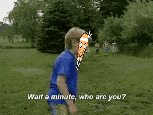 A Boy In A Blue Shirt Is Standing In A Grassy Field And Says Wait A Minute Who Are You ? GIF