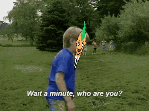 A Boy In A Blue Shirt Is Standing In A Grassy Field With The Words Wait A Minute Who Are You On The Bottom GIF