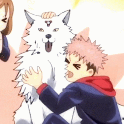 A Boy Is Petting A White Dog With A Tongue Out GIF