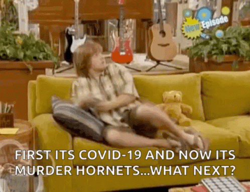 A Boy Is Sitting On A Yellow Couch With A Guitar In The Background And Says First Its Covid-19 And Now Its Murder Hornet GIF