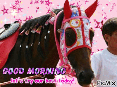 A Boy Is Standing Next To A Horse With A Pink Bridle On It . GIF