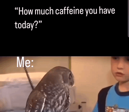 A Boy Talking To An Owl With The Words " How Much Caffeine You Have Today " Below It GIF