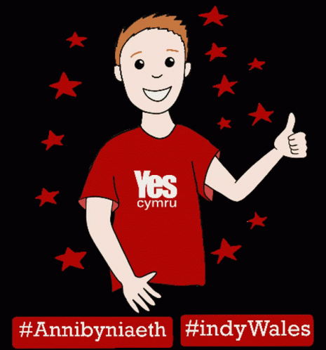 A Boy Wearing A Red Shirt That Says Yes Cymru Is Giving A Thumbs Up GIF