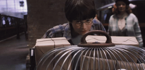 a boy with glasses is holding a bird cage