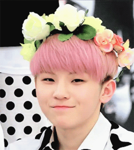 A Boy With Pink Hair Wearing A Flower Crown GIF