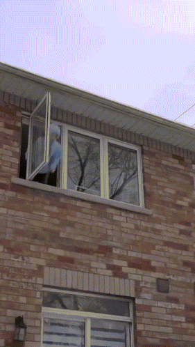 A Brick Building With A Window Open That Looks Out To A Tree GIF