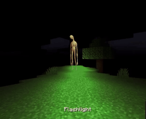 A Brick Wall In A Video Game With A Torch In The Background GIF