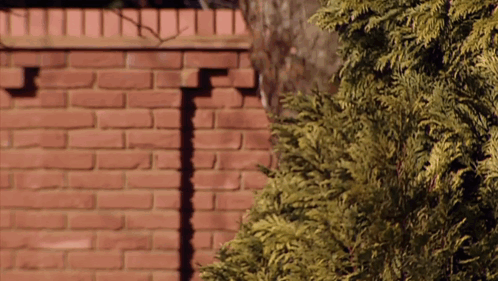 A Brick Wall With A Shadow Of A Person On It GIF
