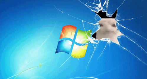 A Broken Windows Screen With A Cat Looking Through It GIF