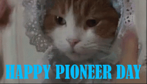 A Brown And White Cat Wearing A Lace Hat With The Words Happy Pioneer Day Written Below It GIF