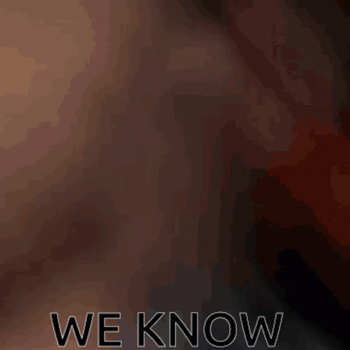A Brown And White Dog Is Sitting In Front Of A Window With The Words " We Know " Above It GIF