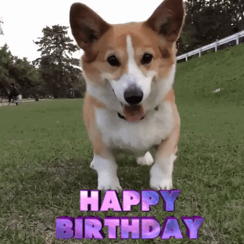 a brown and white dog is standing in the grass with the words happy birthday above it