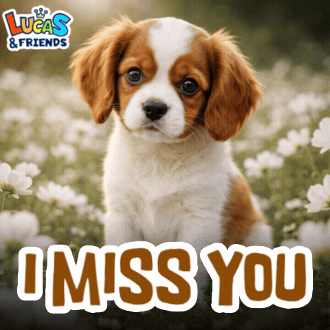 A Brown And White Puppy Is Sitting In A Field Of White Flowers With The Words " I Miss You " Below It GIF