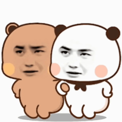 A Brown Bear And A White Bear With Different Faces On Them GIF