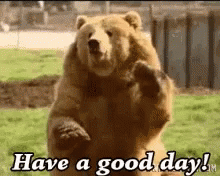 A Brown Bear Is Standing On Its Hind Legs And Says Have A Good Day ! GIF