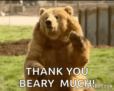 A Brown Bear Is Standing On Its Hind Legs In A Field And Says Thank You Beary Much . GIF