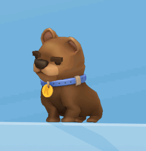 A Brown Dog Wearing A Blue Collar With A Gold Tag GIF